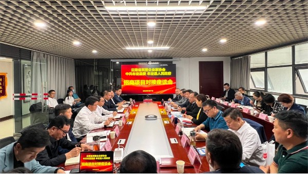 草莓视频成人污塑胶创始人陈学平参加牟定县招商引资座谈会